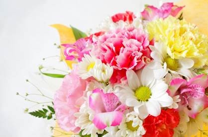 敬老の日のプレゼントに贈る花 定番の花 ふさわしい花は何 やじべえの気になる